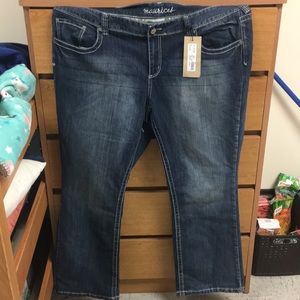 New Maurice’s Jeans. Size 24 Reg.